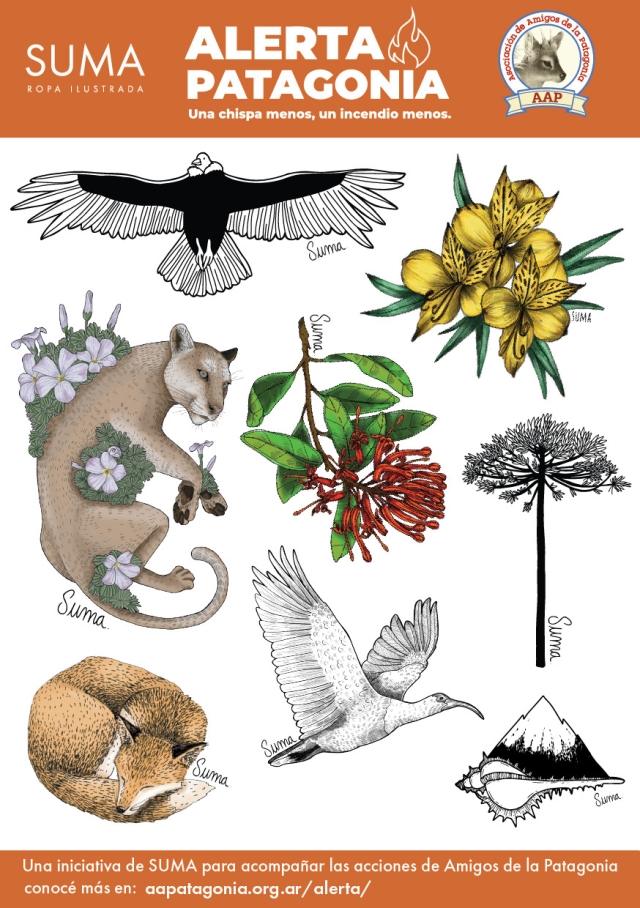 Plancha de Stickers ALERTA PATAGONIA